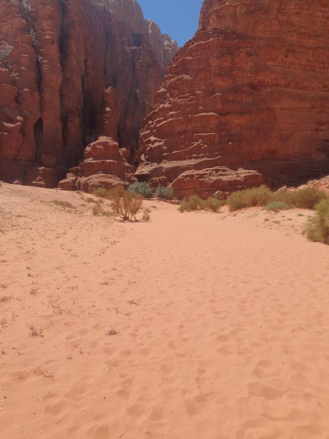 شقة Bedouin Experiences العقبة المظهر الخارجي الصورة